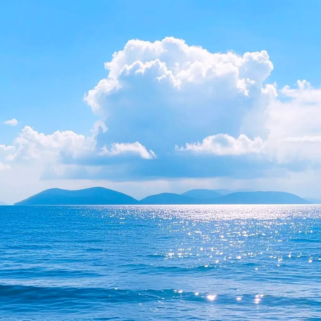 Sisingamangaraja XII avatar