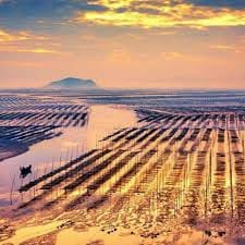 Mochtar Lubis avatar